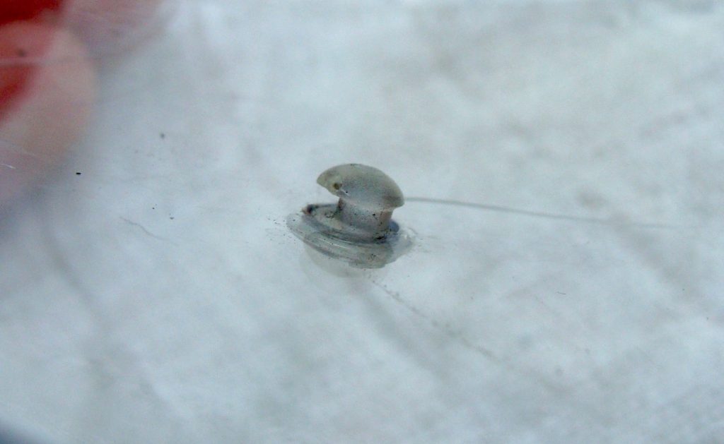 Pinlock Visor Maintenance - Inspect Pins