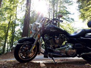 San Francisco motorcycle rental - Harley Davidson Road King