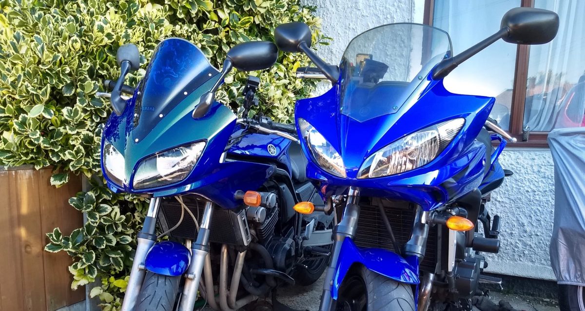 claridad Suavemente desarrollando Yamaha Faze-Off - 2003 FZS600 vs 2007 FZ6 S2 - Beginner Biker Adventures