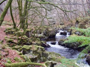 Deil's Cauldron Waterfall Comrie Nov 2021